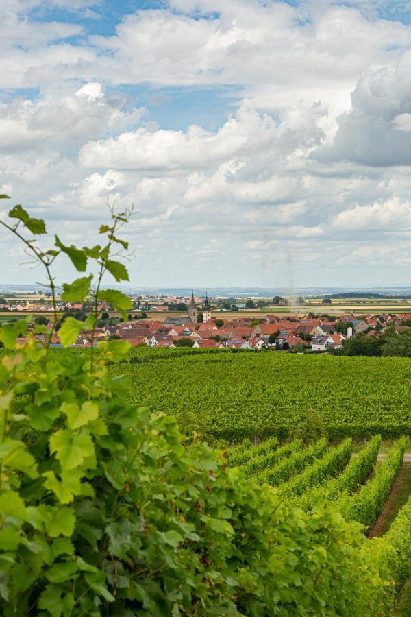 Landgasthof May Willanzheim 외부 사진