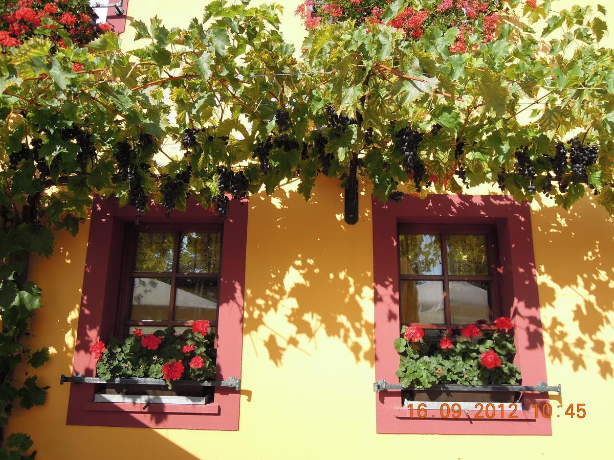 Landgasthof May Willanzheim 외부 사진