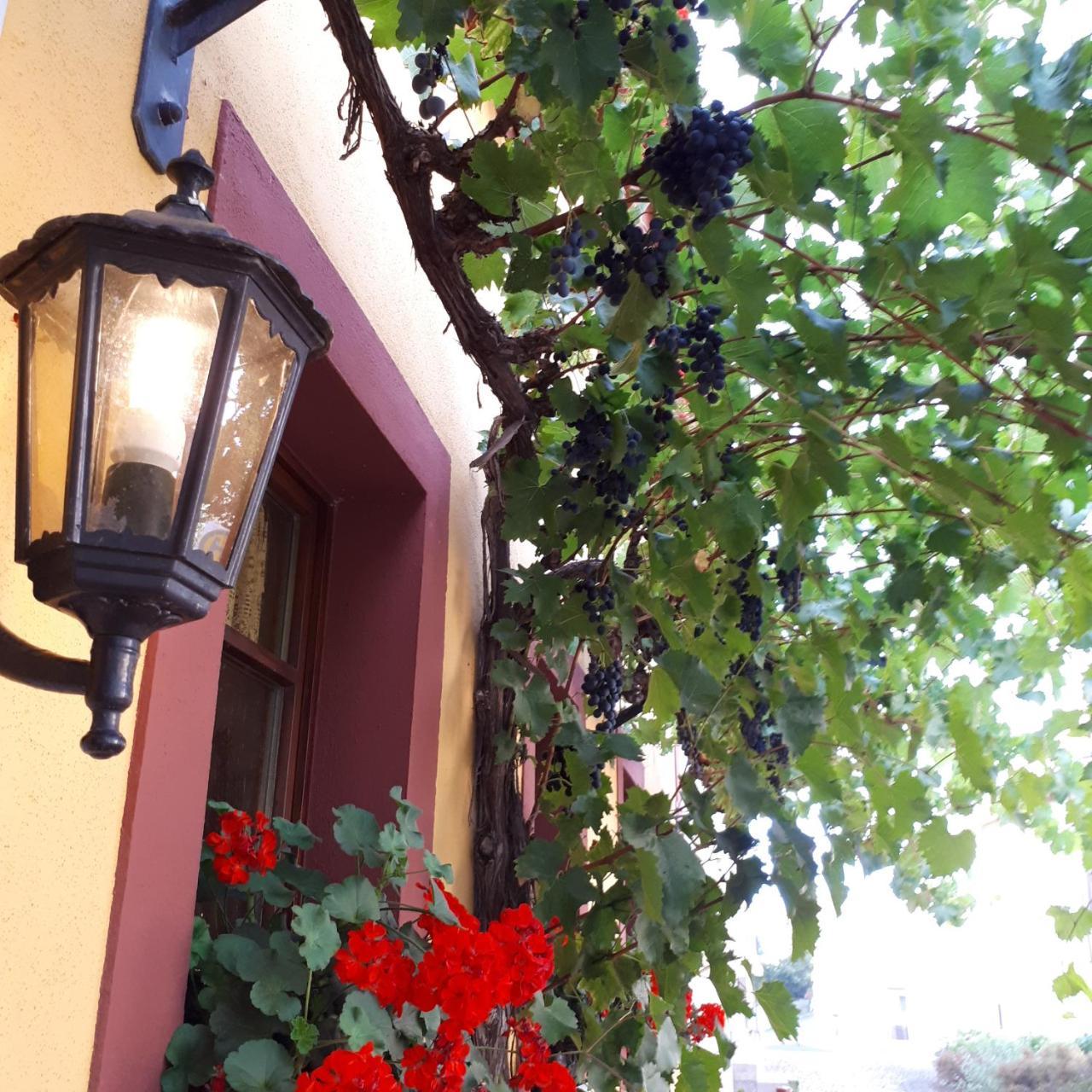 Landgasthof May Willanzheim 외부 사진